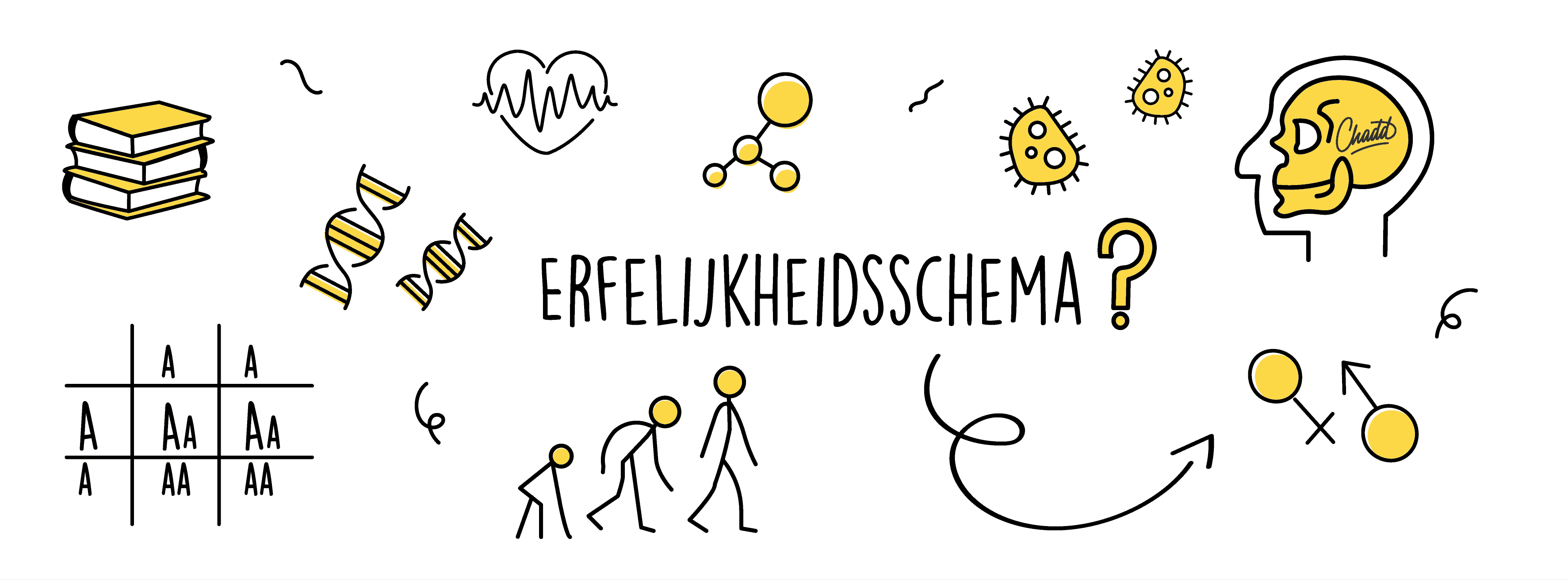 Erfelijkheidsschema