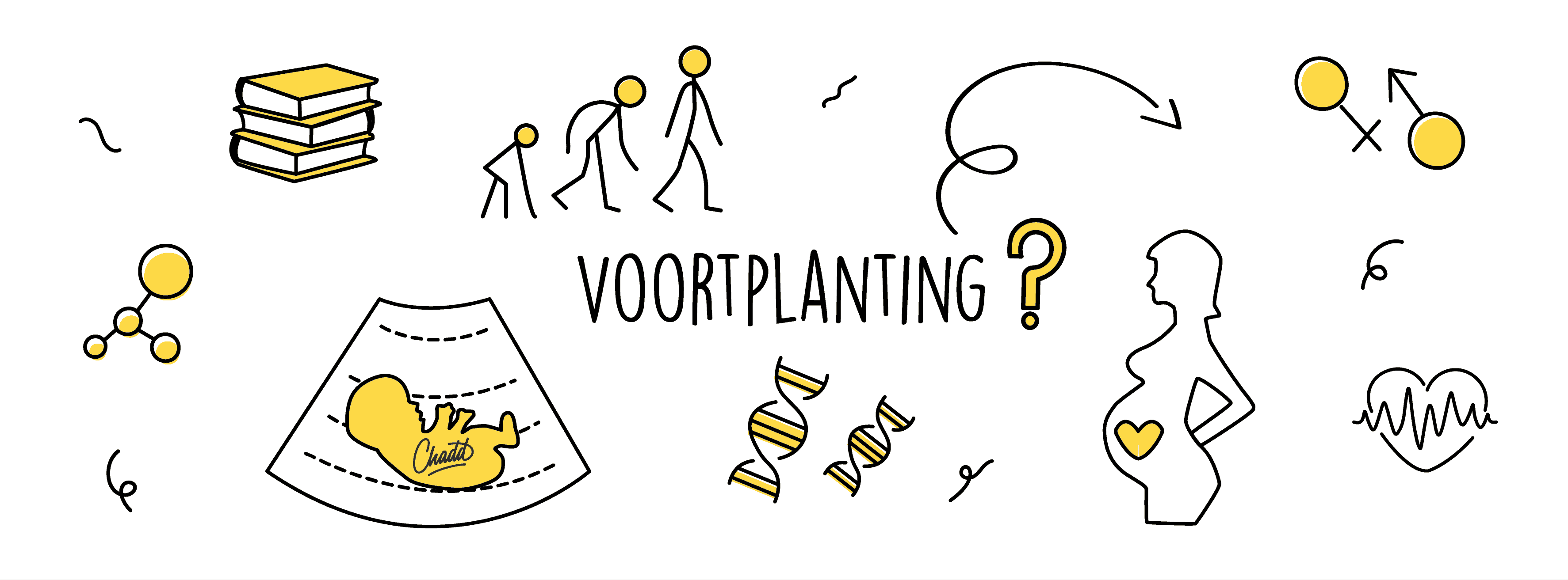 Voortplanting