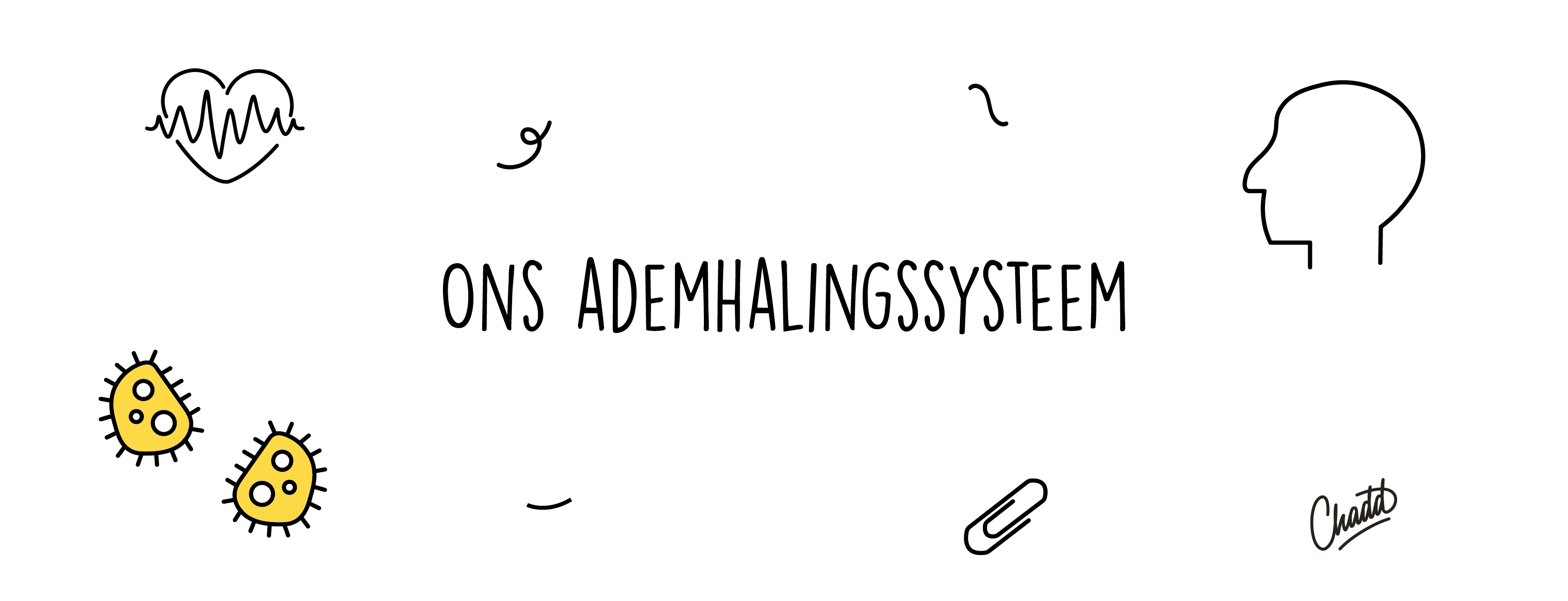 ademhaling