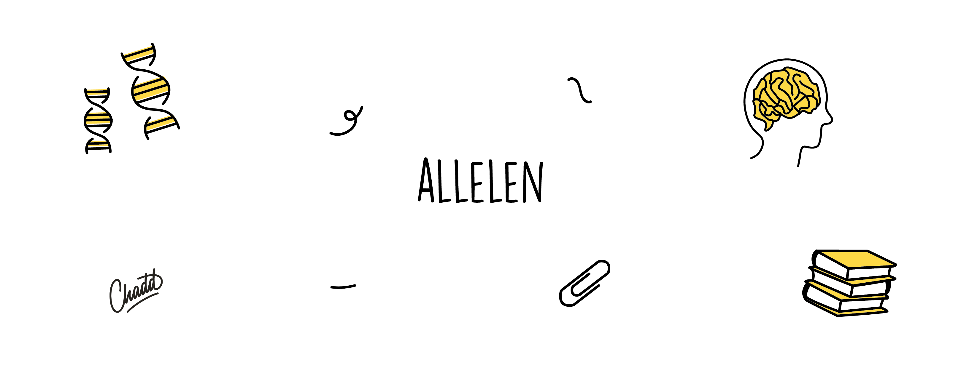 allelen