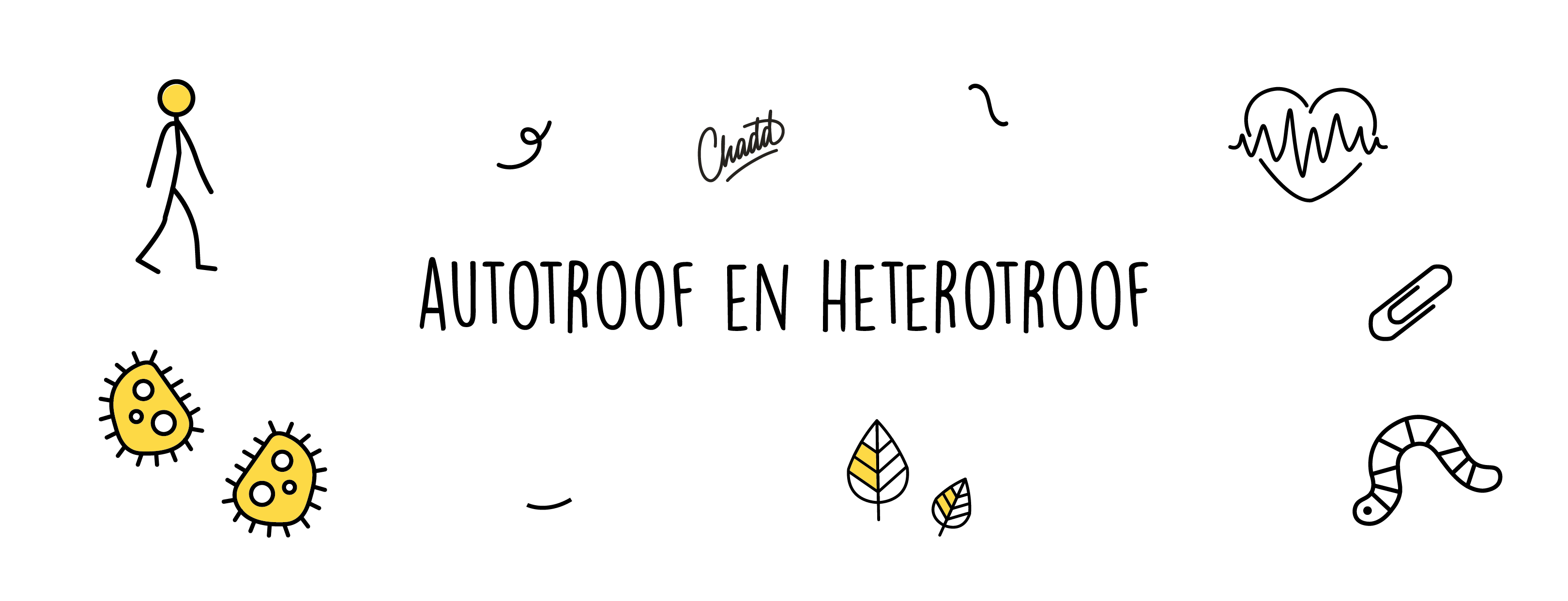 autotroof en heterotroof