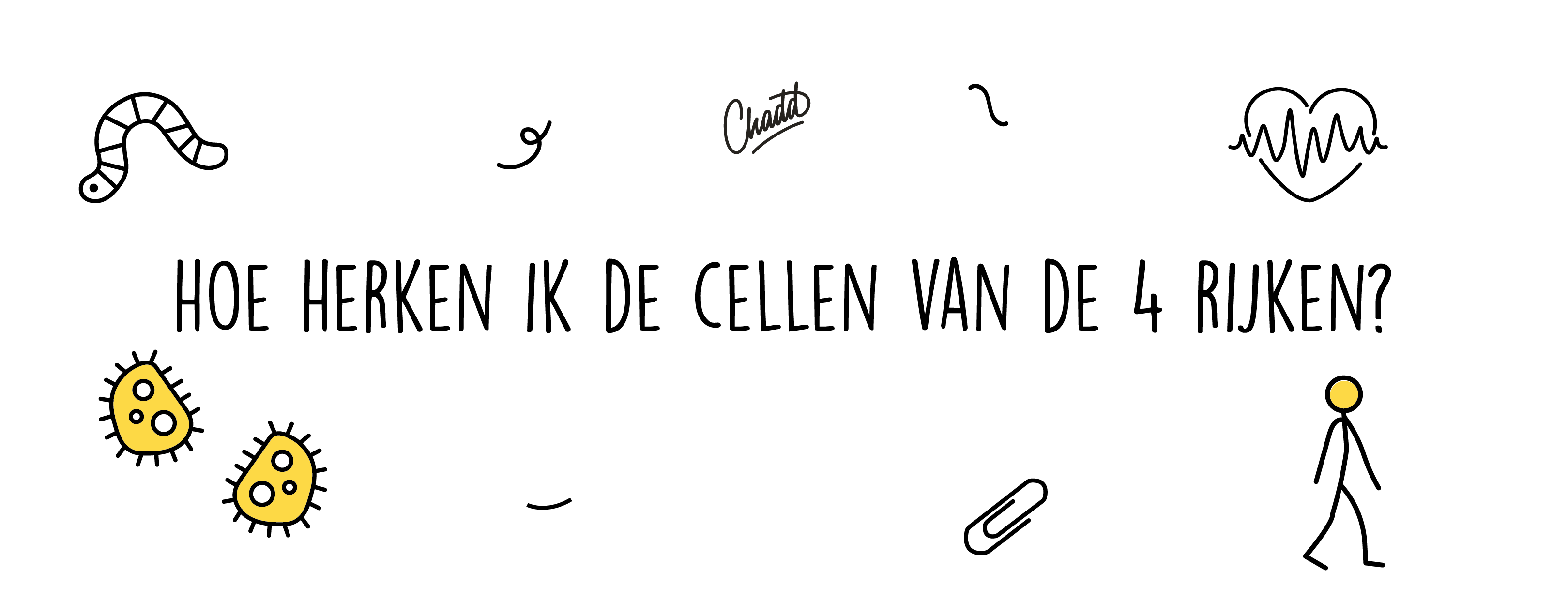 cellen