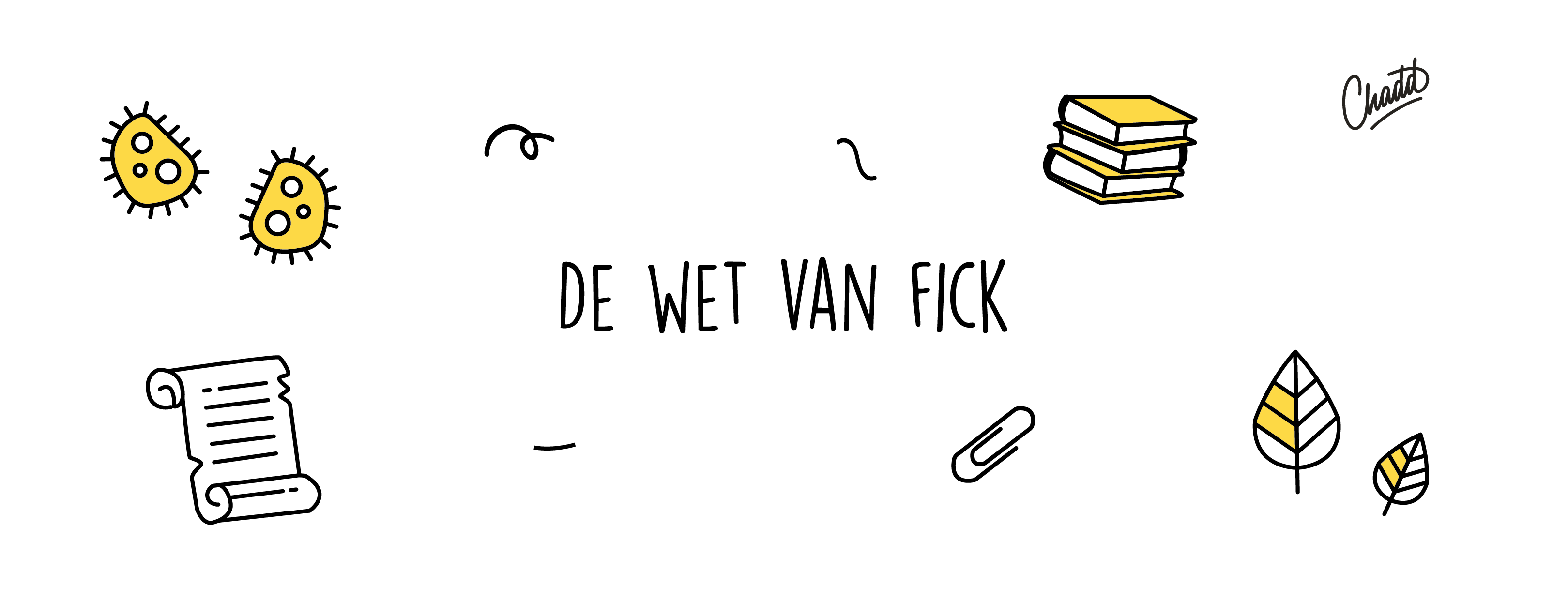 de wet van fick