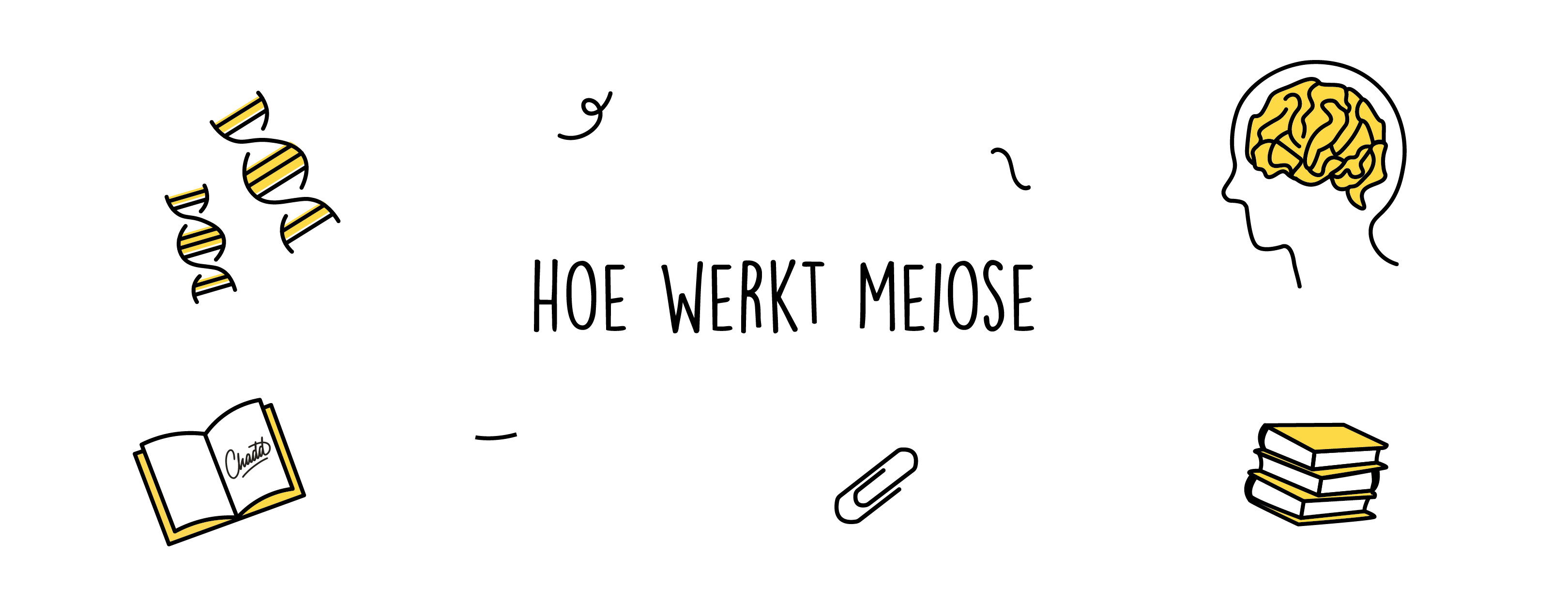 hoe werkt meisose