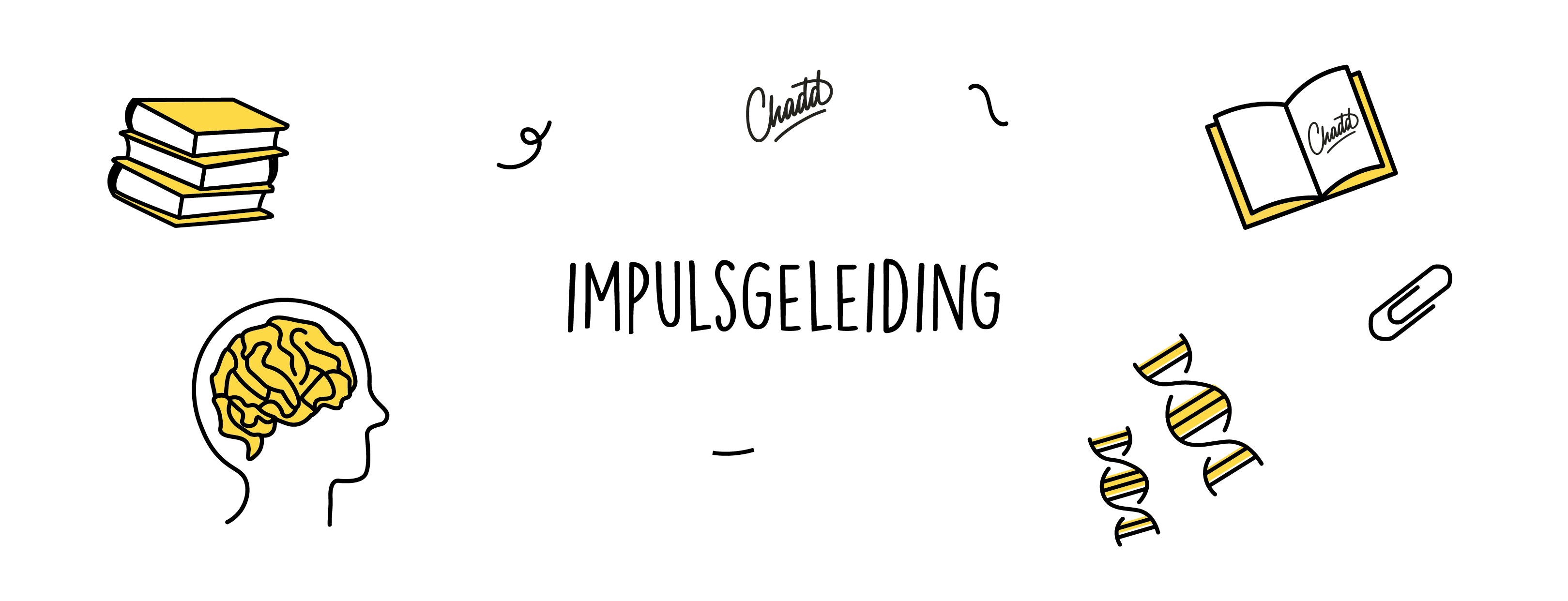 impulsgeleiding