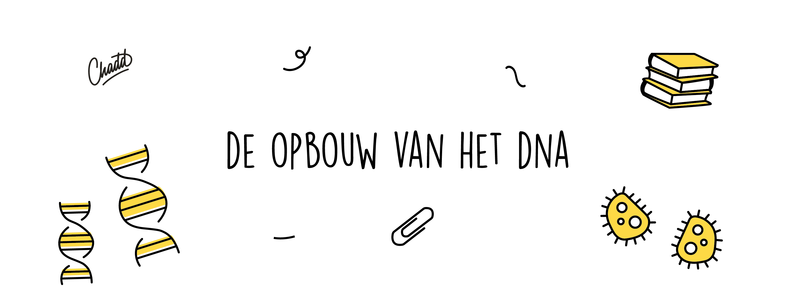 opbouw dna