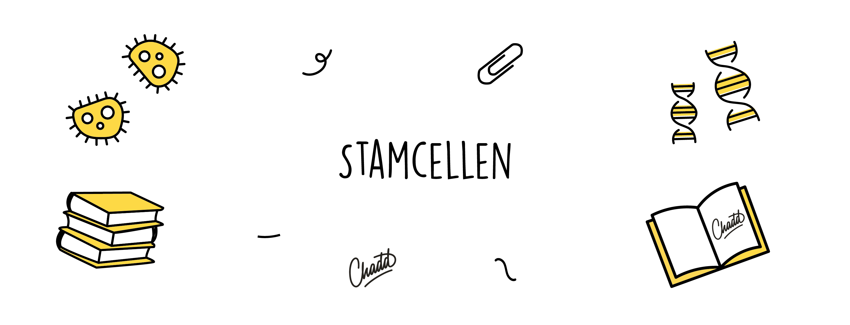 stamcellen
