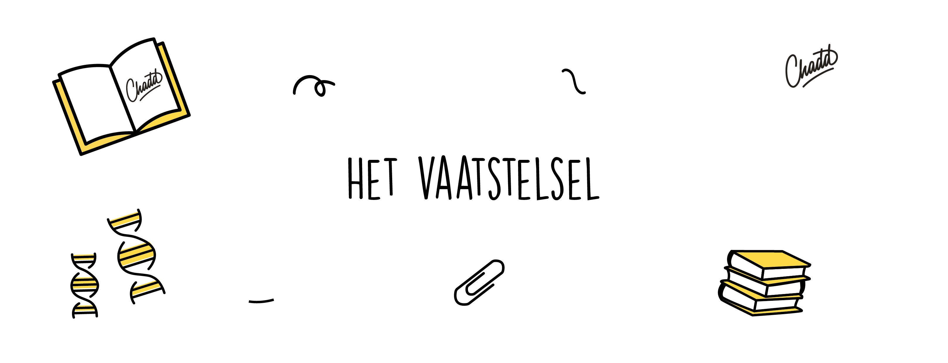 vaatstelsel