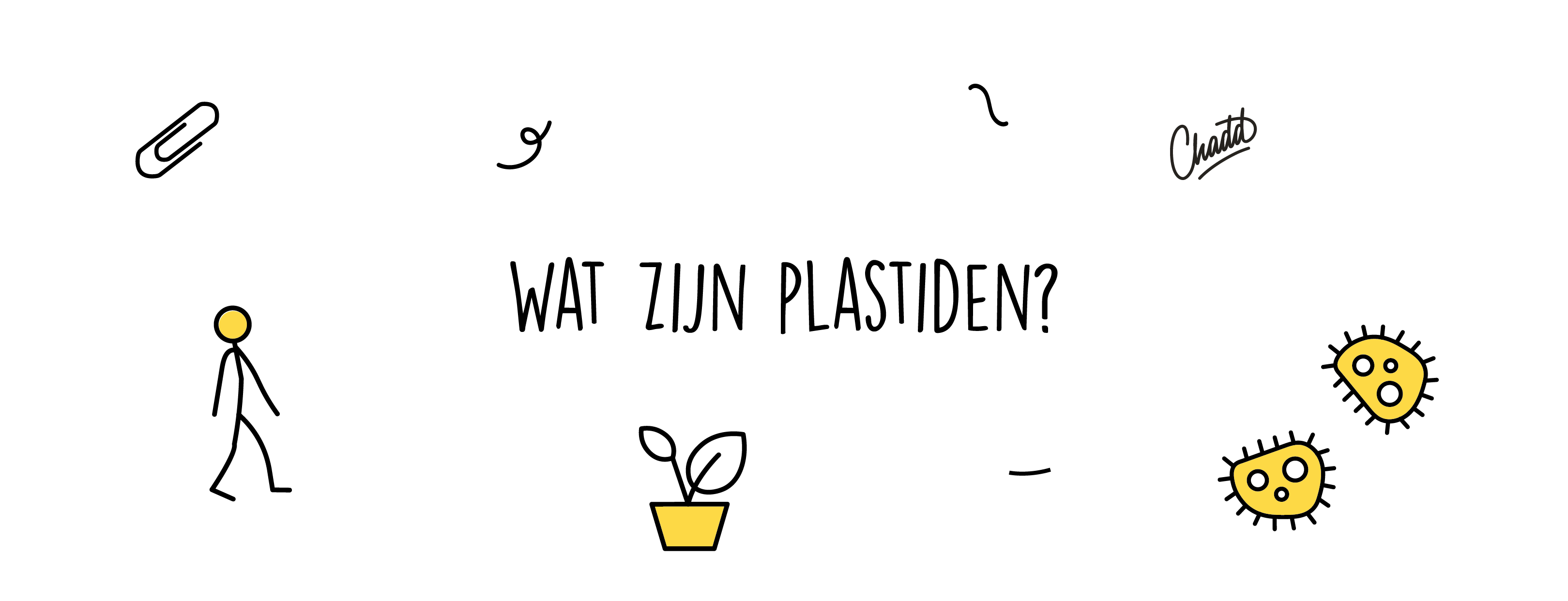 wat zijn plastiden