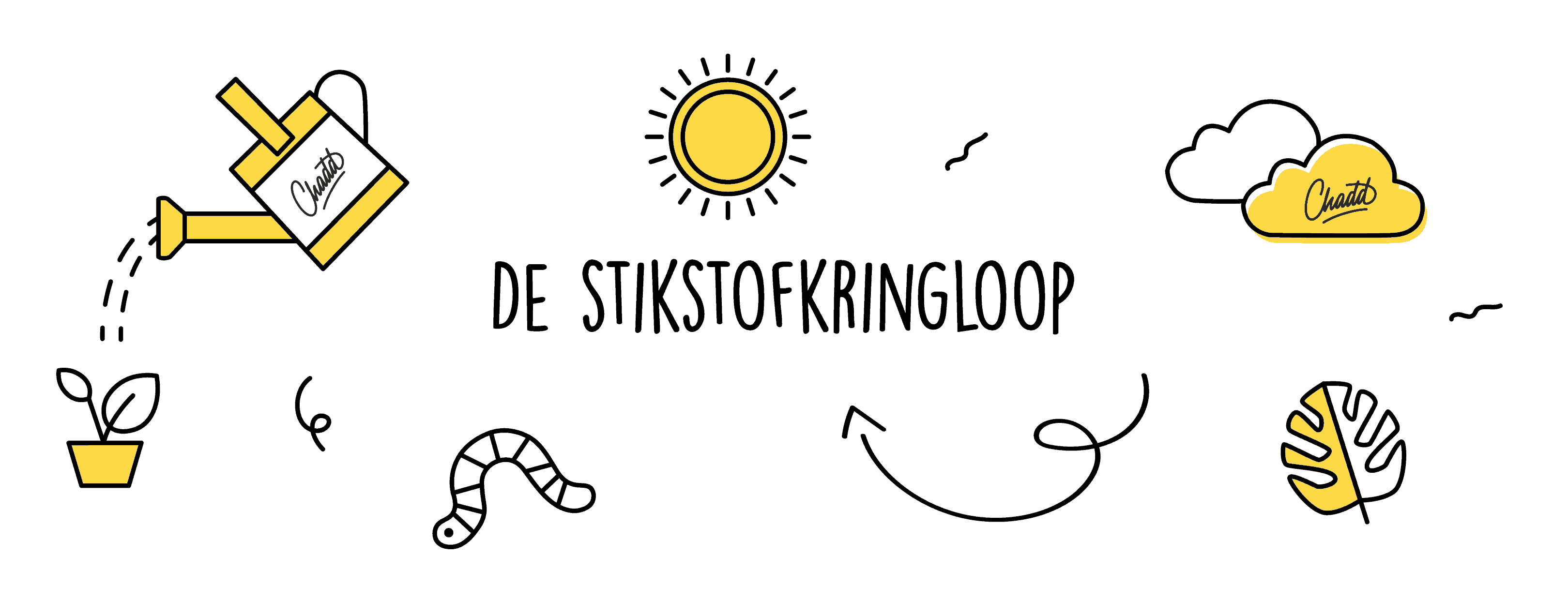 De stikstofkringloop