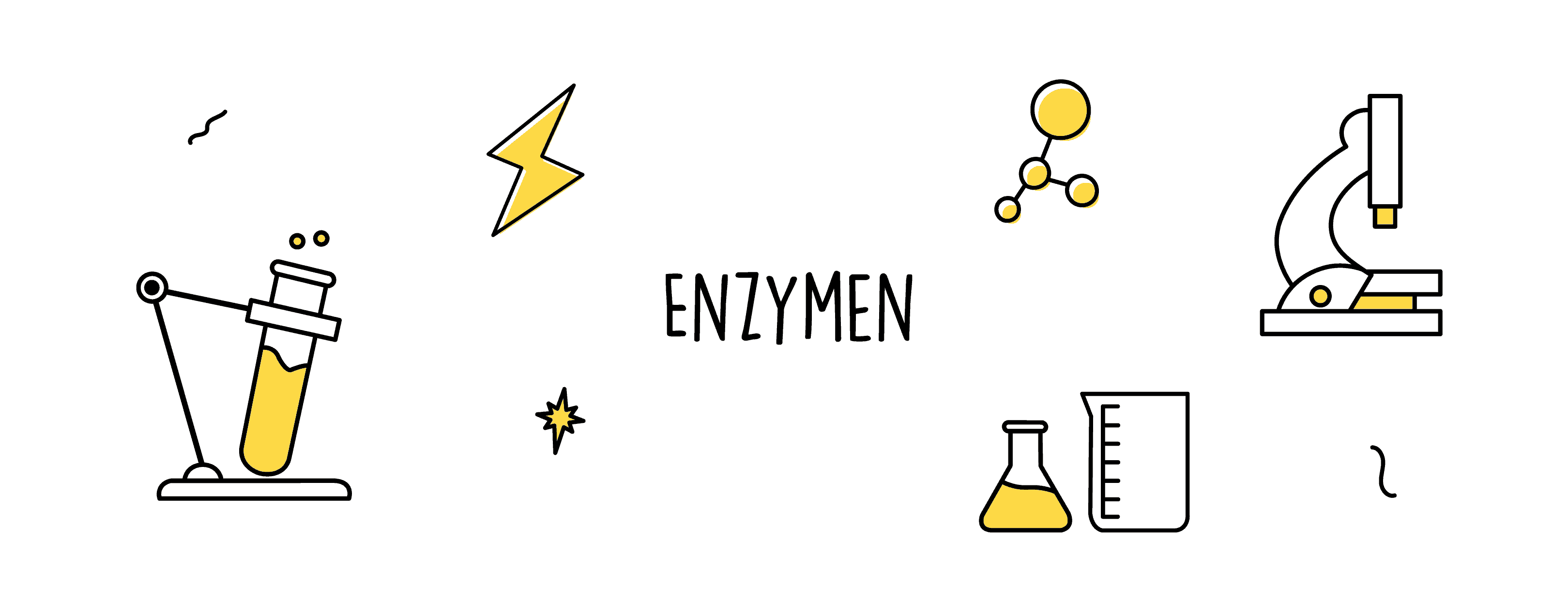 Enzymen