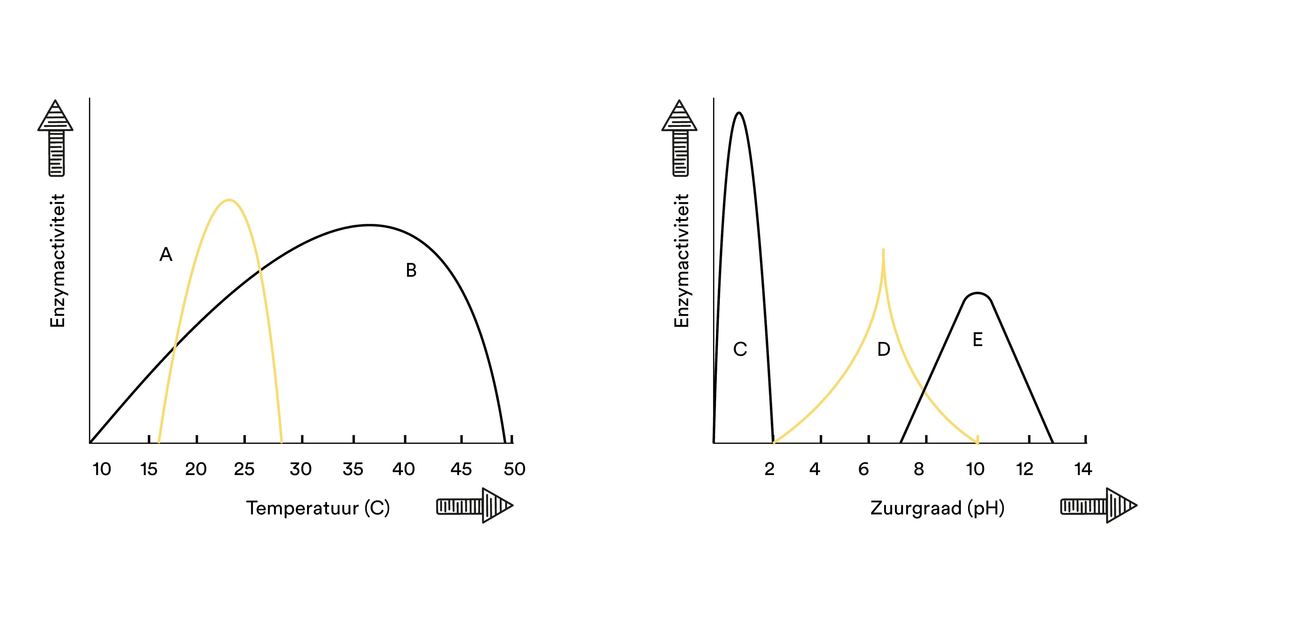 Enzymen denatureren