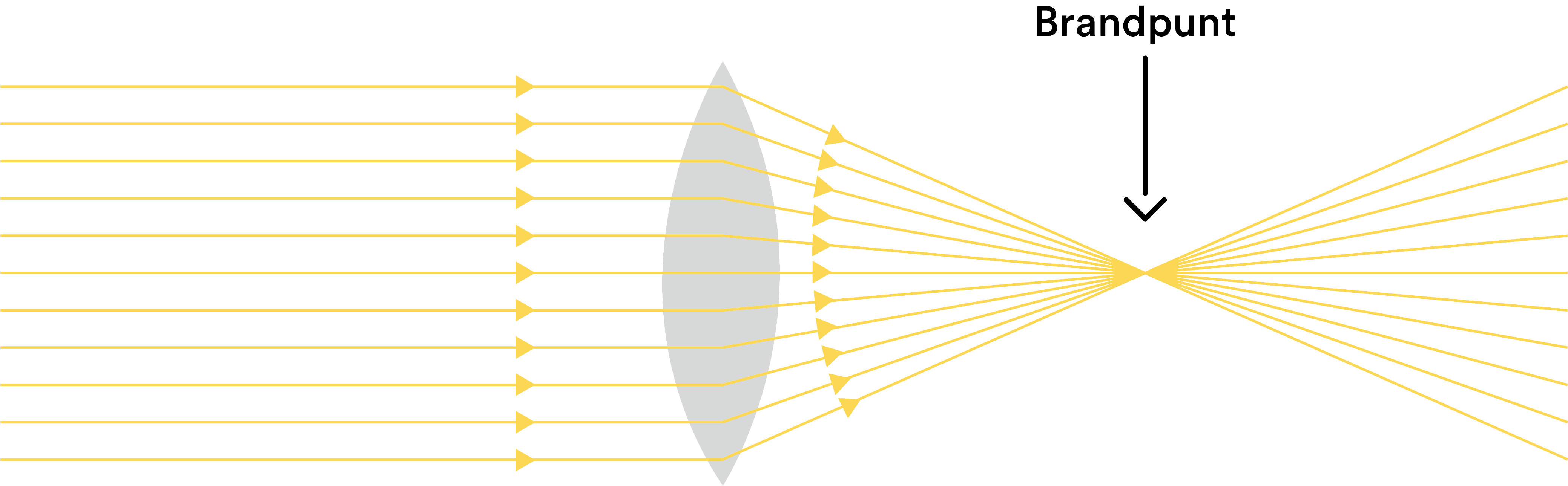 bolle-lens