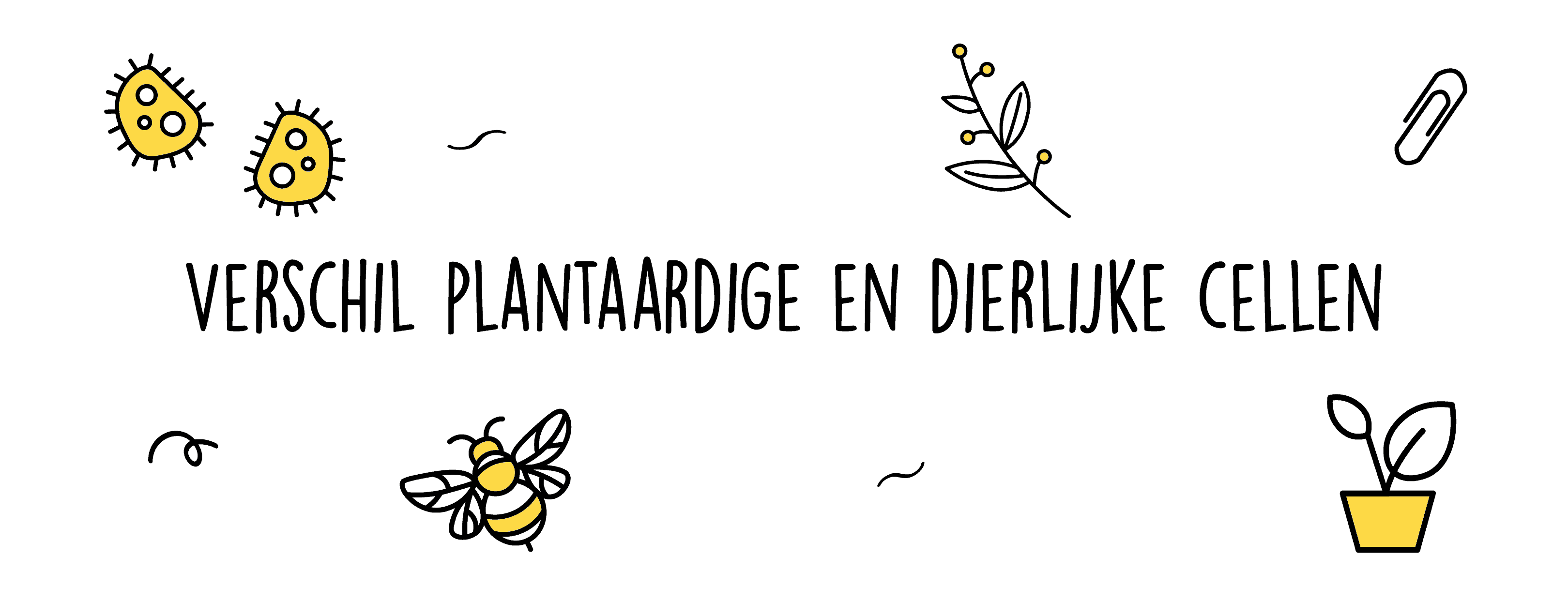 dierlijke en plantaardige cellen 