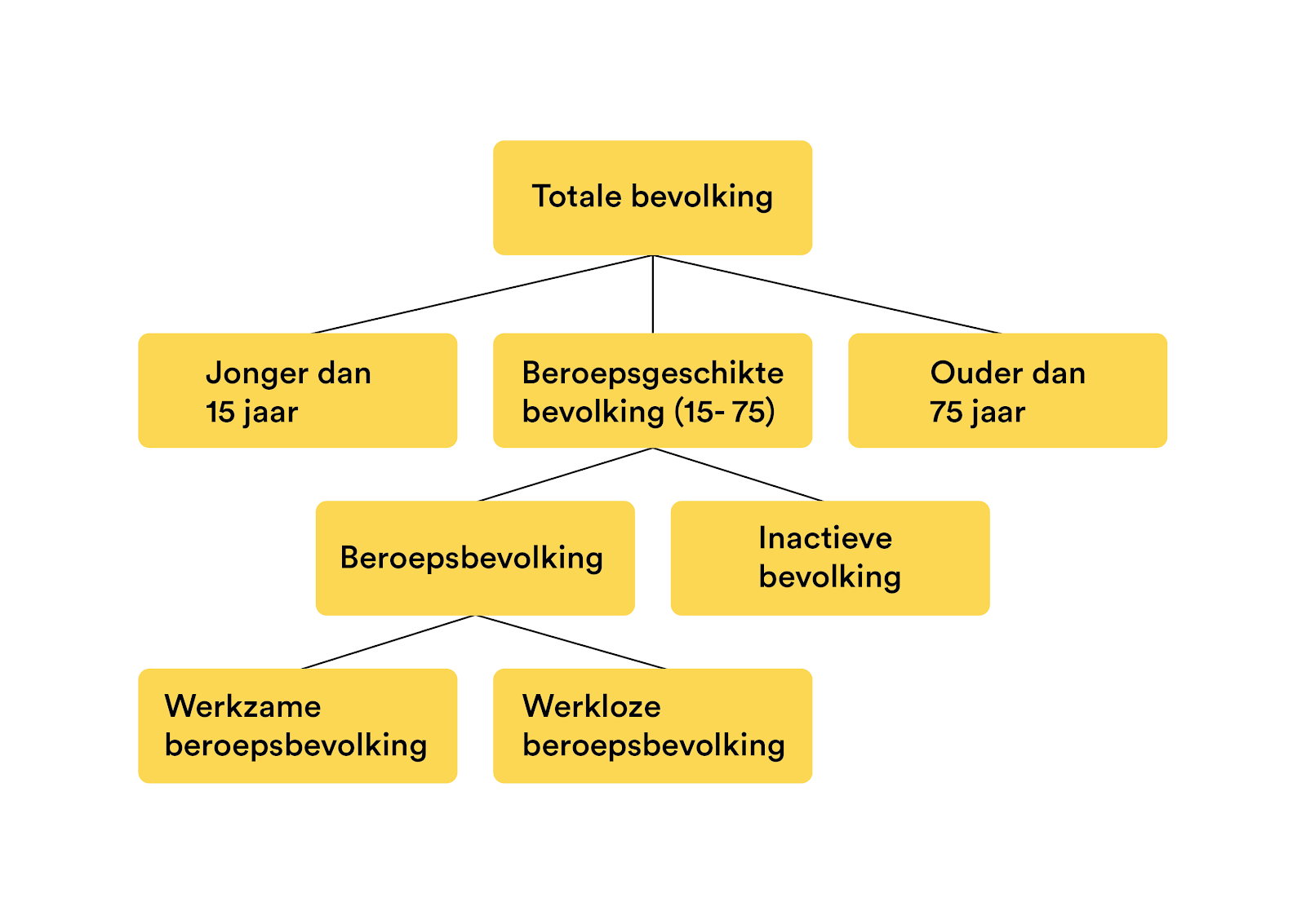 Beroepsbevolking