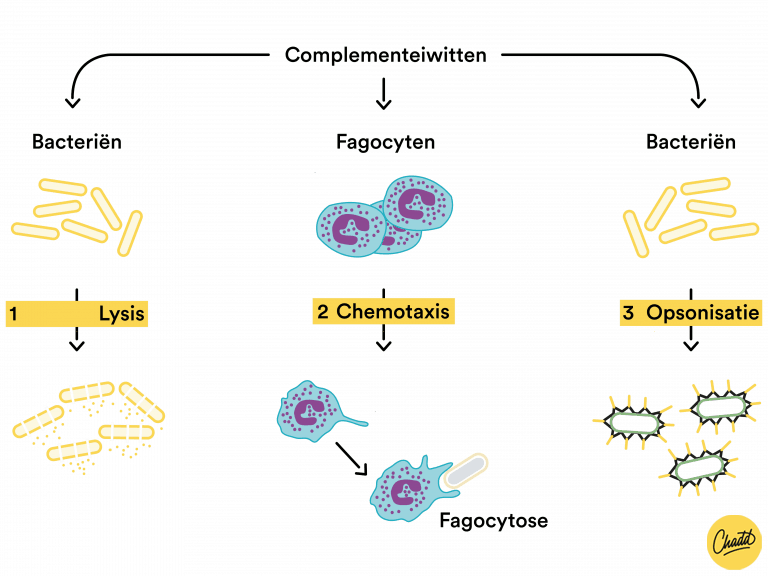 AFWEERSYSTEEM 