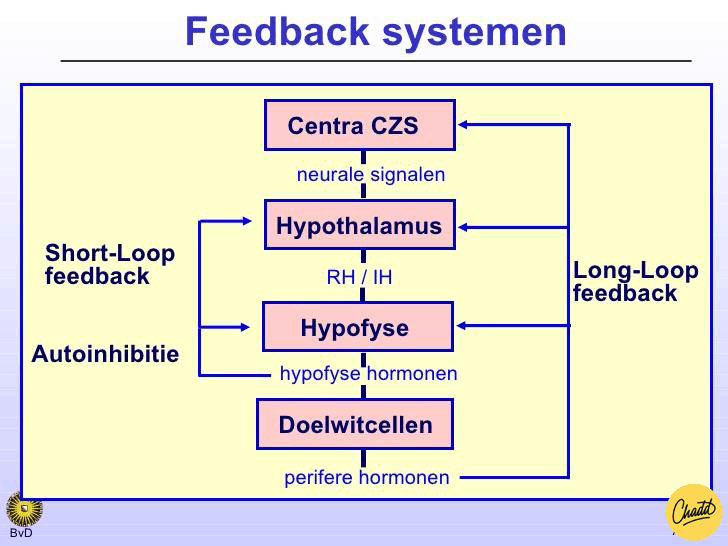 Feedback-systeem