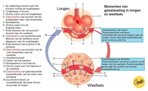 Gaswasseling