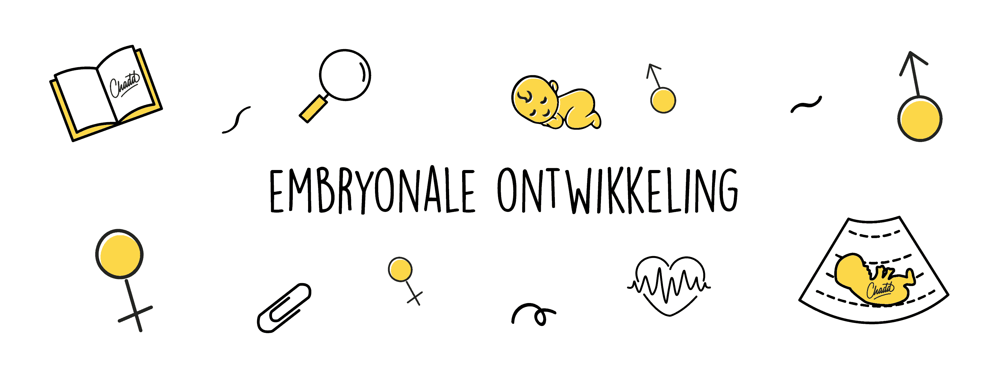 embryonale ontwikkeling