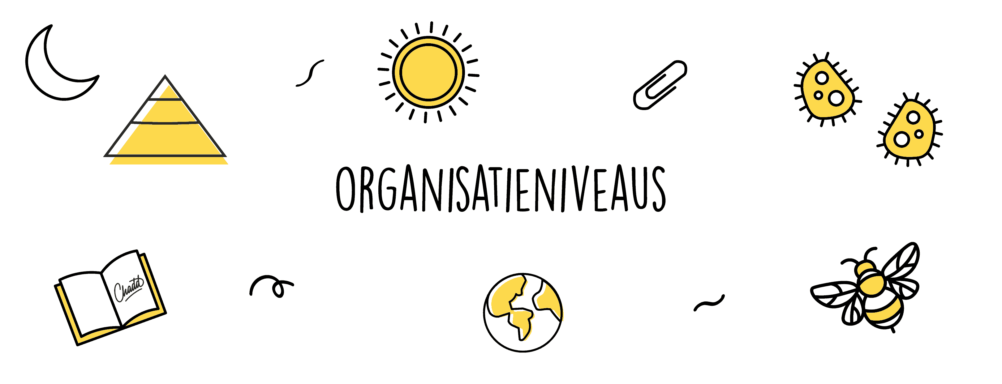 organisatieniveaus