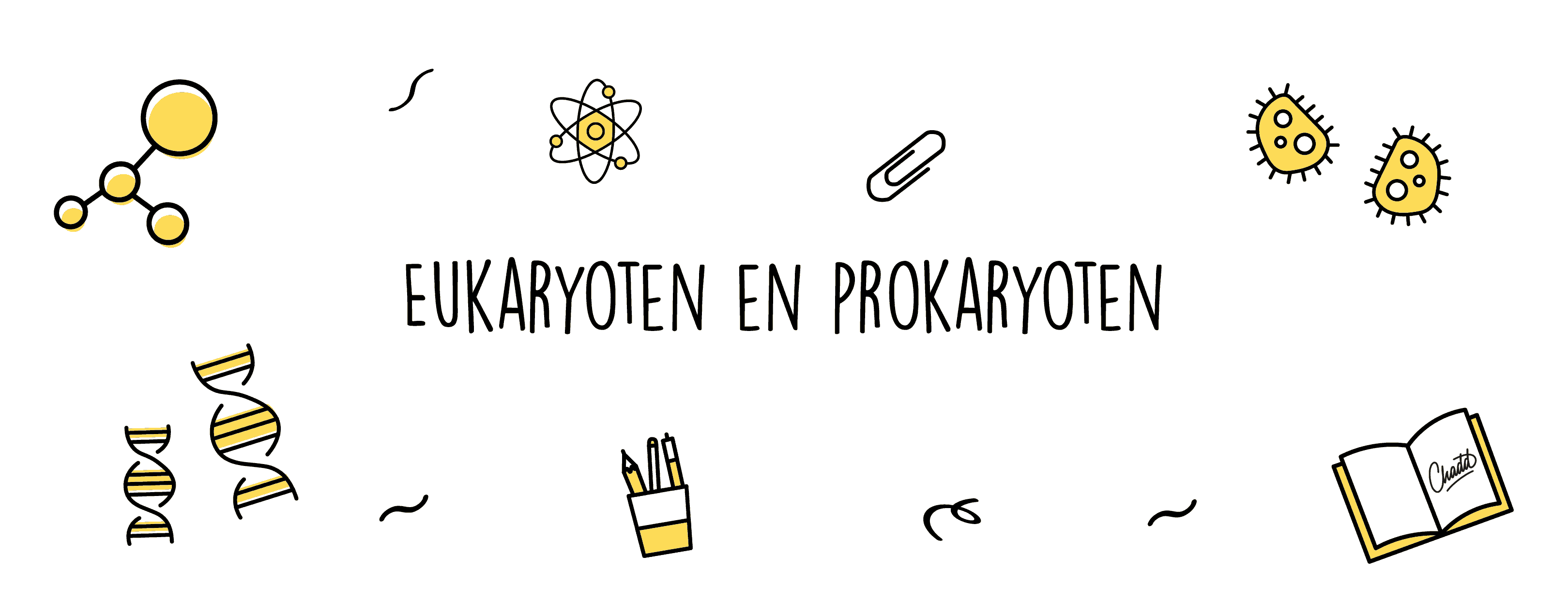 eukaryoten en prokaryoten