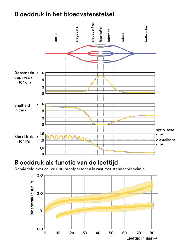 Bloeddruk