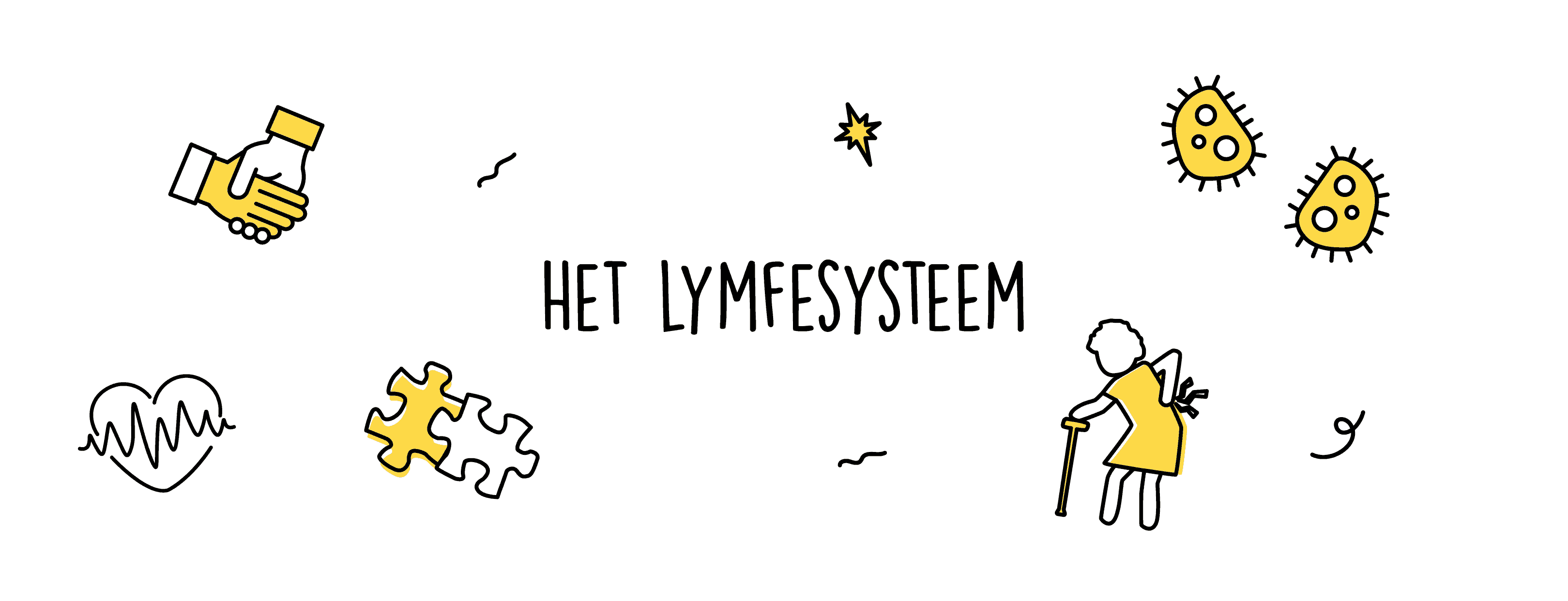 Het lymfesysteem