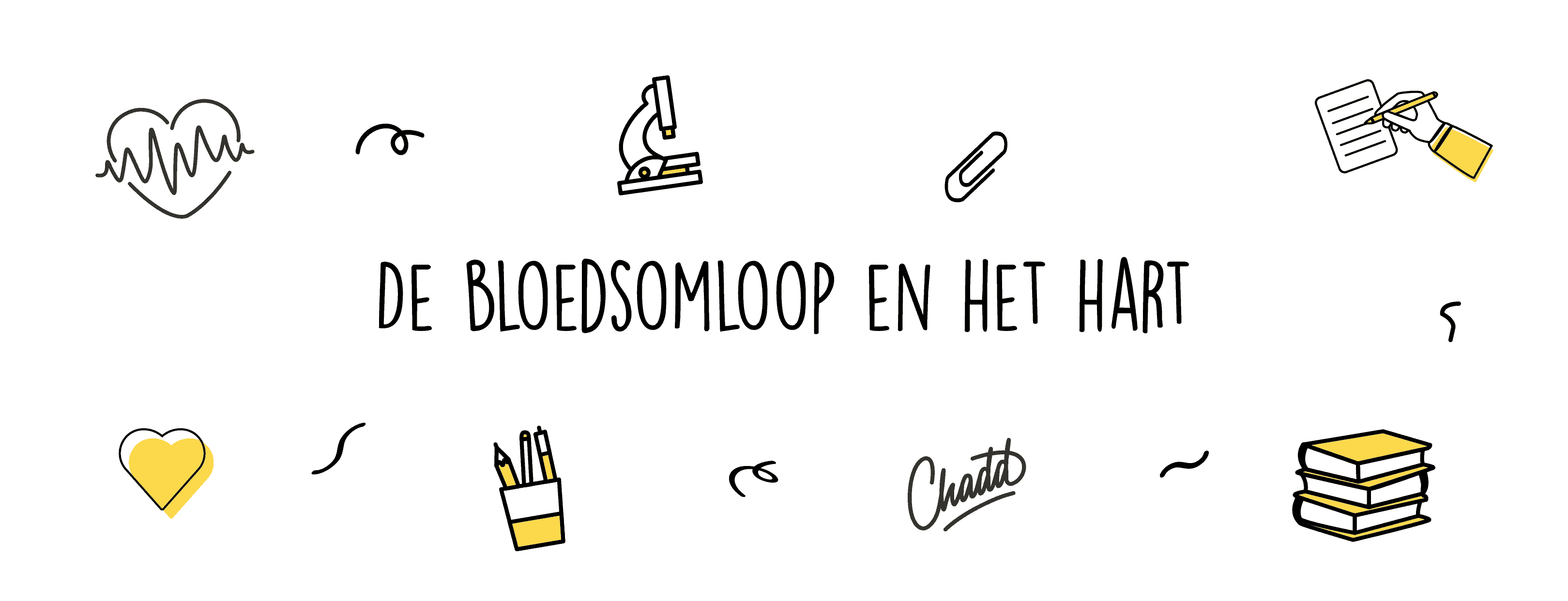 De bloedsomloop en het hart