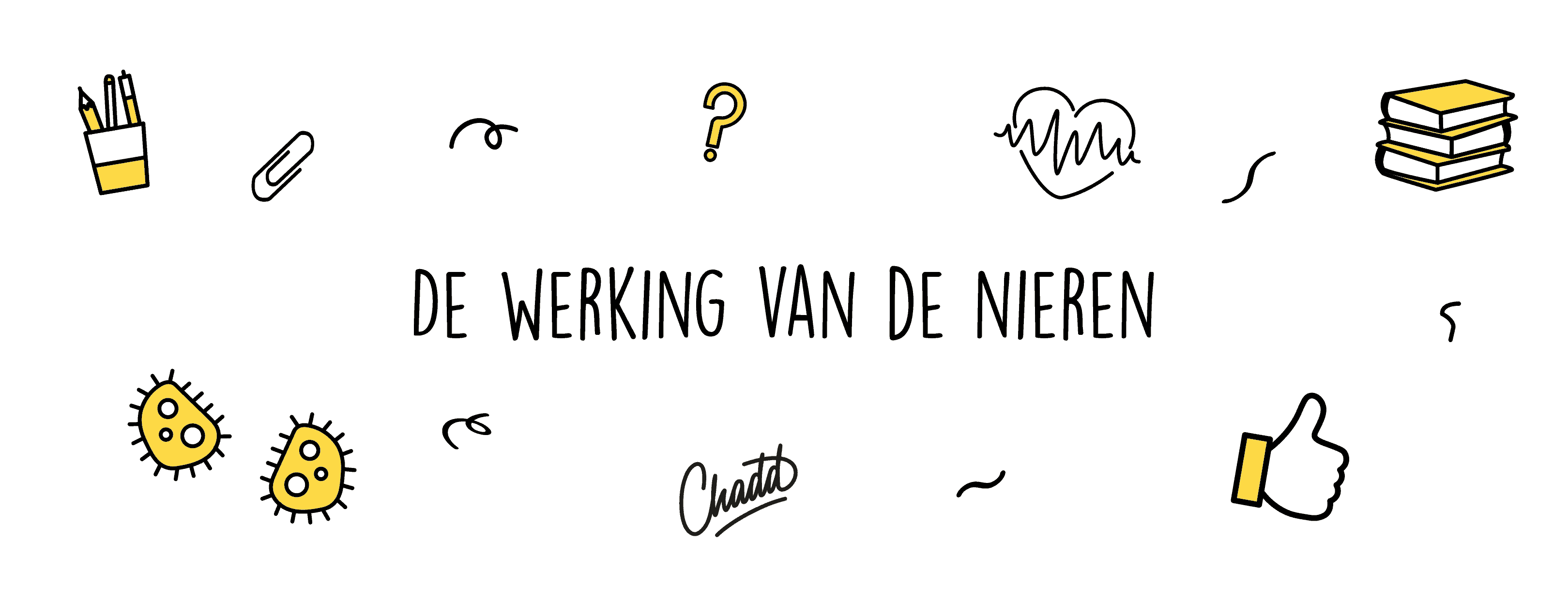 de werking van de nieren